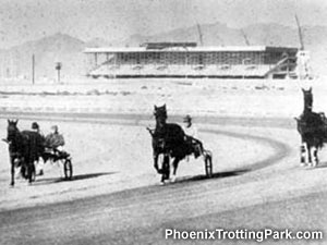 Horses Trotting Around the Track